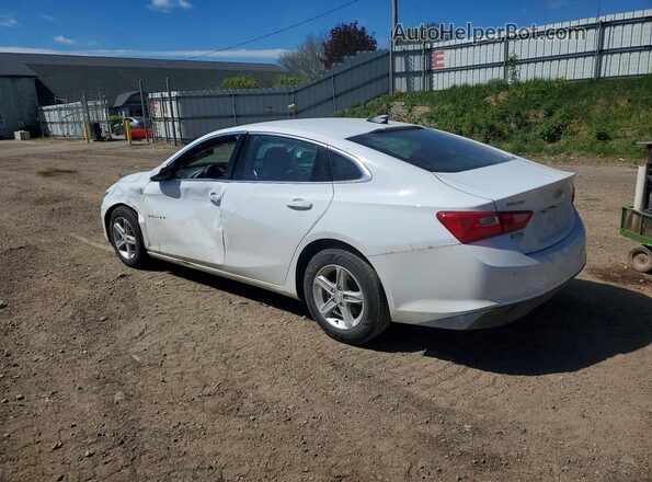 1G1ZC5ST7RF191356 2024 CHEVROLET MALIBU White Tył lewy