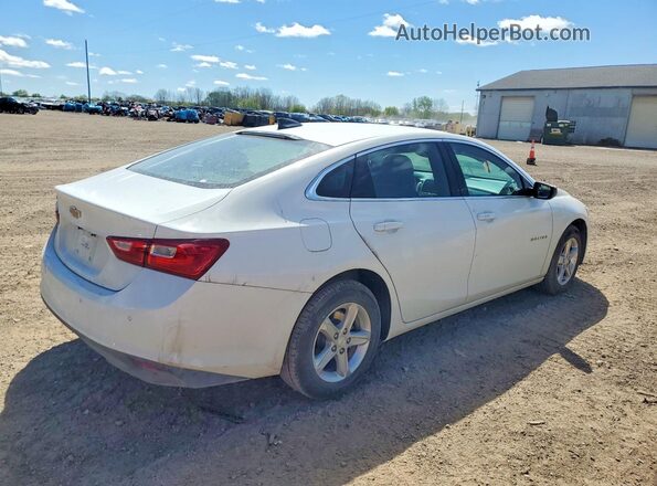 1G1ZC5ST7RF191356 2024 CHEVROLET MALIBU White Tył prawy