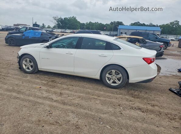 1G1ZC5ST8RF174825 2024 CHEVROLET MALIBU White Tył lewy