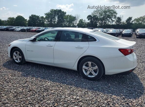 1G1ZC5ST9PF147226 2023 CHEVROLET MALIBU Белый Задняя левая четверть