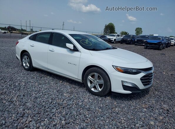 1G1ZC5ST9PF147226 2023 CHEVROLET MALIBU Белый Передняя правая четверть