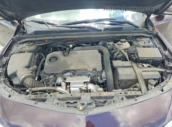 1G1ZD5ST0MF006053 2021 CHEVROLET MALIBU Burgundy Սալոնի հետևի տեսք
