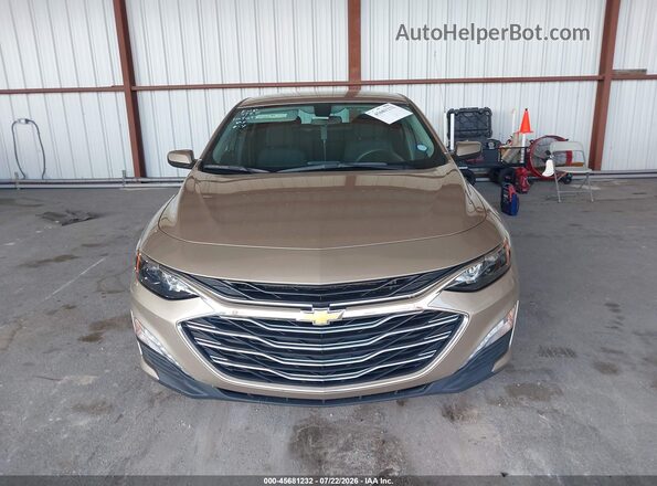 1G1ZD5ST0NF123228 2022 CHEVROLET MALIBU Коричневый Вид задней части салона