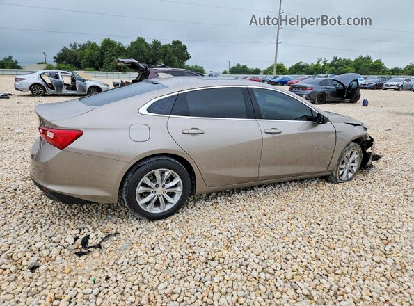 1G1ZD5ST0RF203442 2024 CHEVROLET MALIBU Tan Հետևի աջ