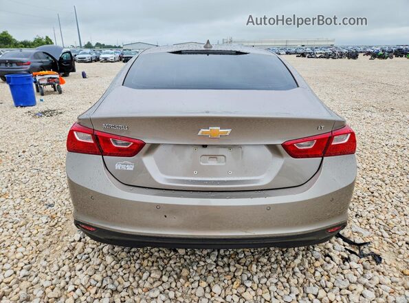 1G1ZD5ST0RF203442 2024 CHEVROLET MALIBU Tan Հետևի տեսք