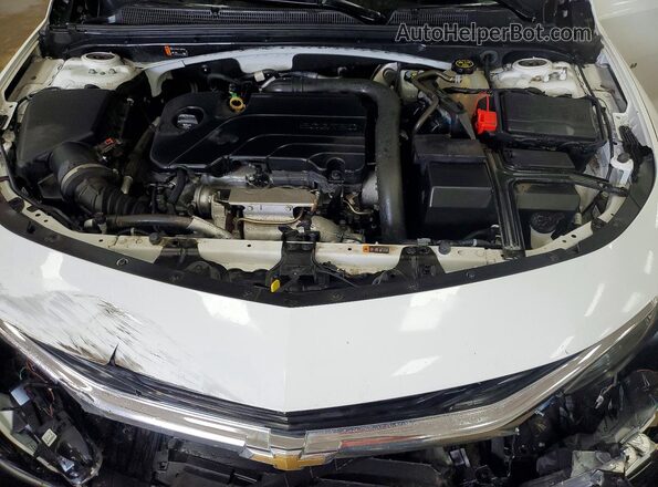 1G1ZD5ST1KF179030 2019 CHEVROLET MALIBU Белый Вид задней части салона