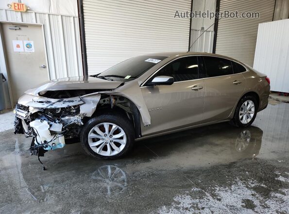 1G1ZD5ST1PF132121 2023 CHEVROLET MALIBU Желто-коричневый Вид наклейки с VIN-кодом