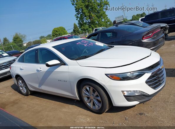 1G1ZD5ST1PF238889 2023 CHEVROLET MALIBU Белый Вид задней части салона