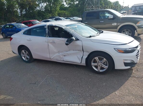 1G1ZD5ST1RF118321 2024 CHEVROLET MALIBU Белый Вид задней части салона