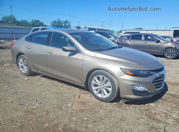 1G1ZD5ST1RF173559 2024 CHEVROLET MALIBU Золотой Передняя правая четверть