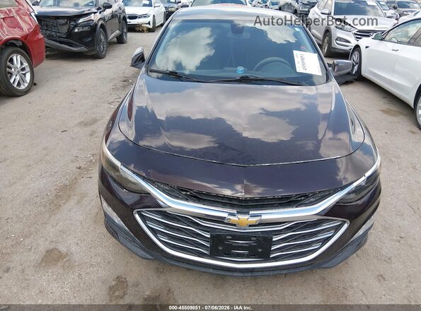 1G1ZD5ST2MF004563 2021 CHEVROLET MALIBU Бордовый Вид задней части салона