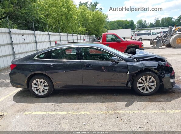 1G1ZD5ST2PF240246 2023 CHEVROLET MALIBU Gray Սալոնի հետևի տեսք