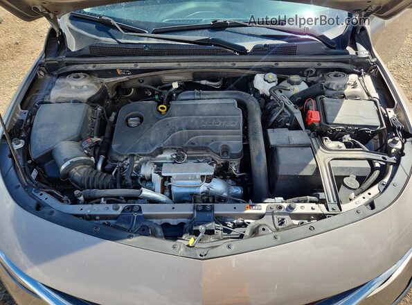 1G1ZD5ST2RF207301 2024 CHEVROLET MALIBU Tan Rear interior view