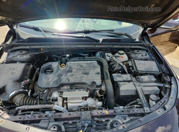 1G1ZD5ST3MF039385 2021 CHEVROLET MALIBU Бордовый Вид задней части салона
