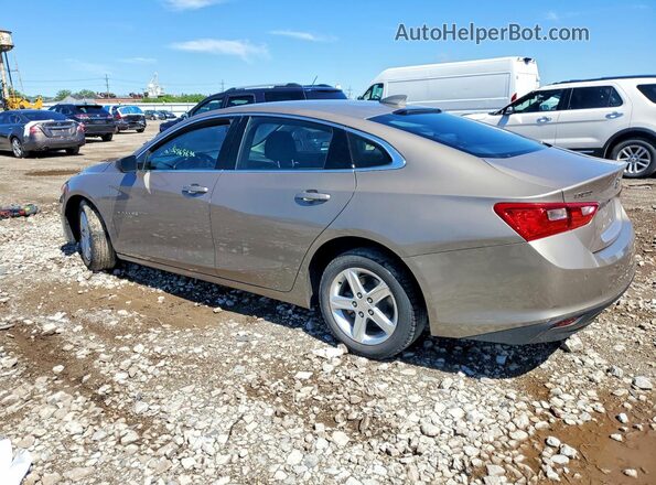 1G1ZD5ST3PF160776 2023 CHEVROLET MALIBU Beige Հետևի ձախ