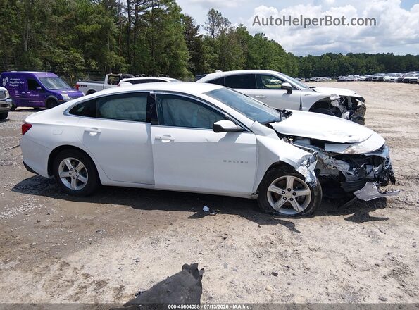 1G1ZD5ST3PF170398 2023 CHEVROLET MALIBU Белый Вид задней части салона