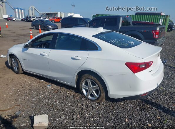1G1ZD5ST3RF139879 2024 CHEVROLET MALIBU Белый Задняя левая четверть
