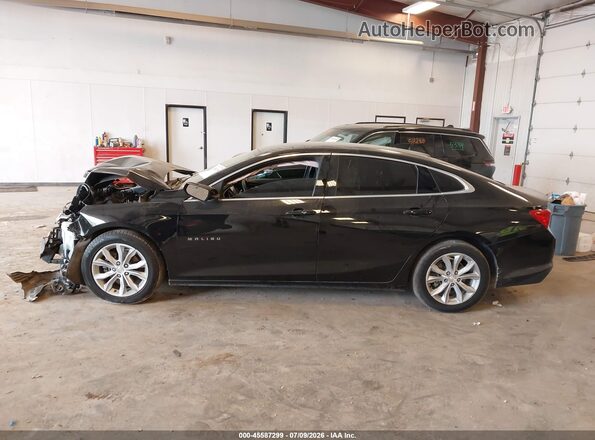 1G1ZD5ST4PF187162 2023 CHEVROLET MALIBU Черный Вид задней части салона