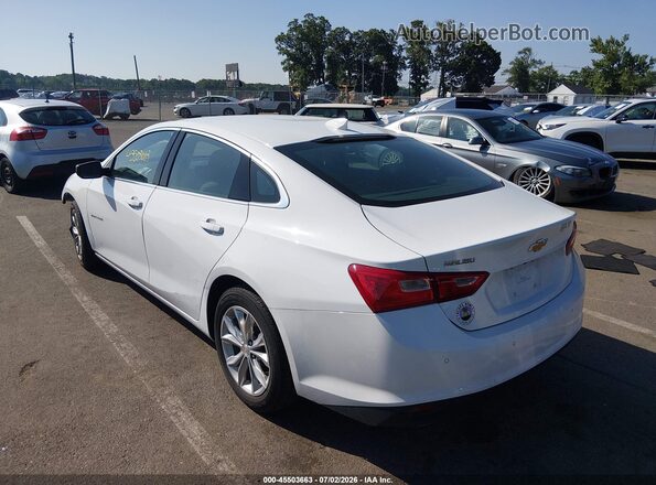 1G1ZD5ST4PF193429 2023 CHEVROLET MALIBU White Tył lewy