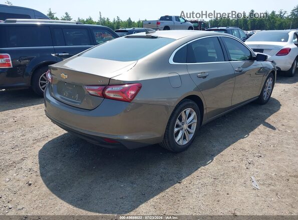 1G1ZD5ST5LF007889 2020 CHEVROLET MALIBU Gray უკანა მარჯვენა