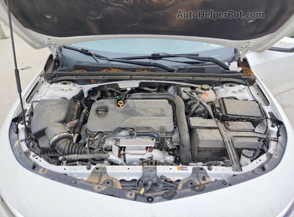 1G1ZD5ST5MF025424 2021 CHEVROLET MALIBU Белый Вид задней части салона