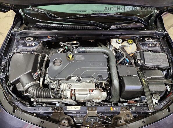 1G1ZD5ST5PF160486 2023 CHEVROLET MALIBU Синий Вид задней части салона