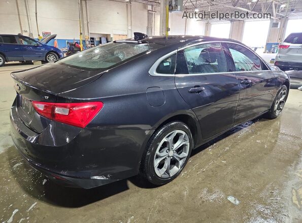 1G1ZD5ST5PF160486 2023 CHEVROLET MALIBU Синий 