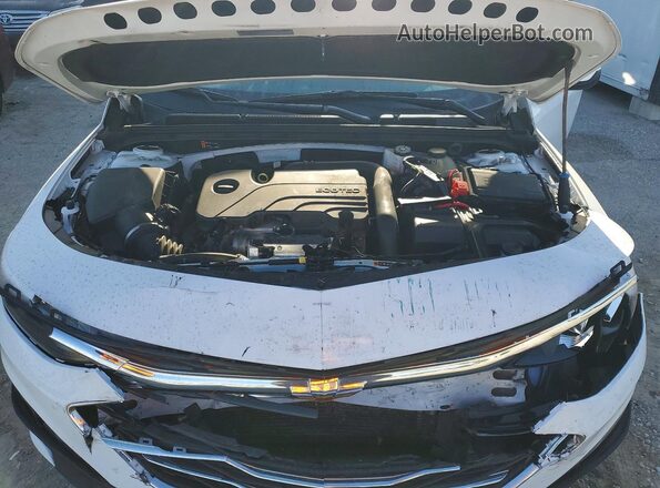 1G1ZD5ST5PF188174 2023 CHEVROLET MALIBU Белый Вид задней части салона