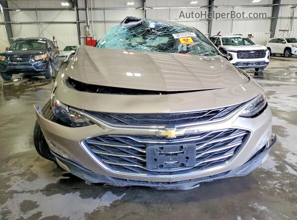 1G1ZD5ST6PF194856 2023 CHEVROLET MALIBU Tan Vista frontal