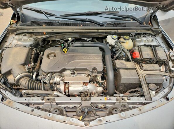 1G1ZD5ST6PF226317 2023 CHEVROLET MALIBU Gray Вид задньої частини салону