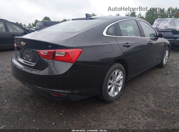 1G1ZD5ST6PF242811 2023 CHEVROLET MALIBU Dark Blue Trasero derecho
