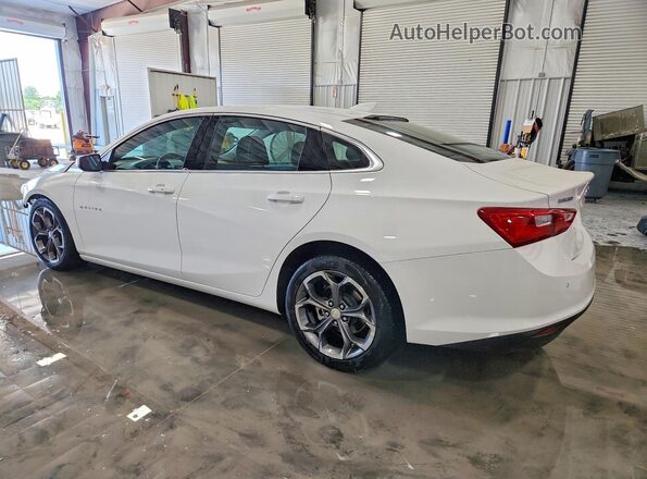 1G1ZD5ST6RF167823 2024 CHEVROLET MALIBU Белый Задняя левая четверть