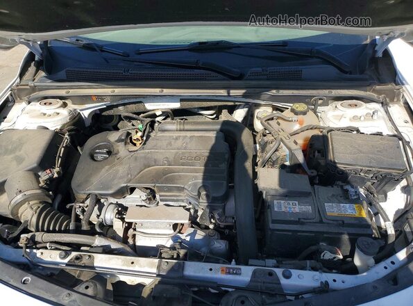 1G1ZD5ST7KF189173 2019 CHEVROLET MALIBU Белый Вид задней части салона