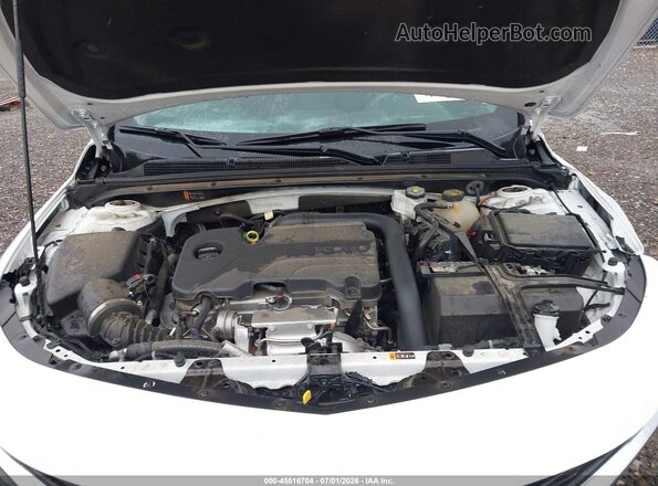1G1ZD5ST7RF148729 2024 CHEVROLET MALIBU Белый Вид сзади