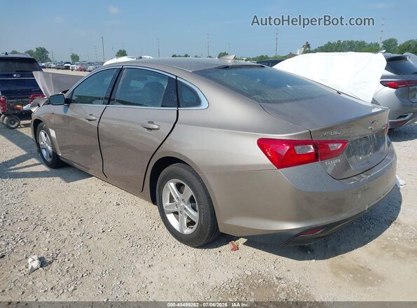 1G1ZD5ST7RF152134 2024 CHEVROLET MALIBU Коричневый Задняя левая четверть