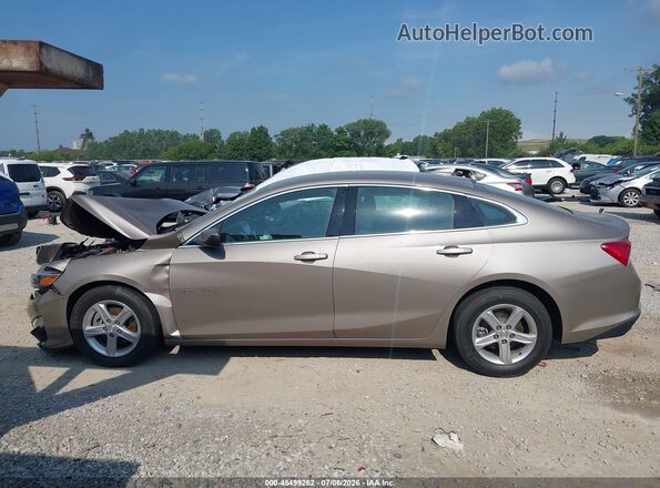 1G1ZD5ST7RF152134 2024 CHEVROLET MALIBU Коричневый Панорамный вид салона 360°