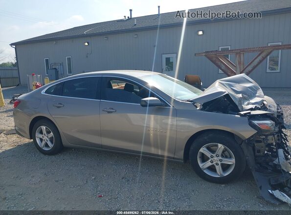 1G1ZD5ST7RF152134 2024 CHEVROLET MALIBU Коричневый Вид задней части салона