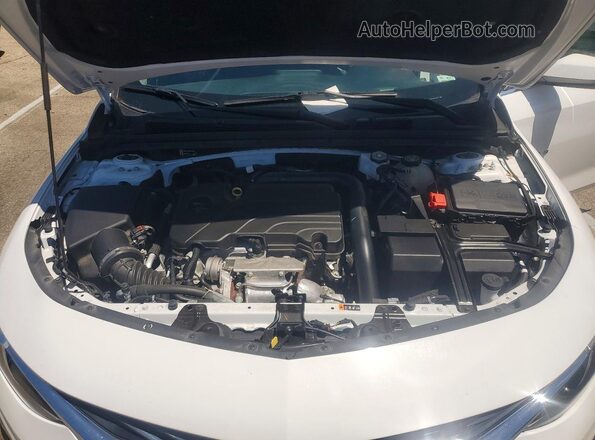 1G1ZD5ST7RF166986 2024 CHEVROLET MALIBU White უკანა სალონის ხედი