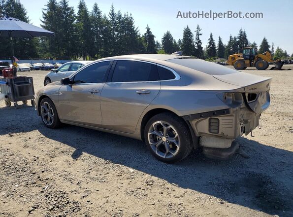 1G1ZD5ST7RF209254 2024 CHEVROLET MALIBU Золотой Задняя левая четверть