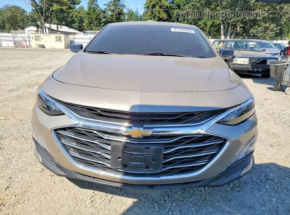 1G1ZD5ST7RF209254 2024 CHEVROLET MALIBU Золотой Вид спереди