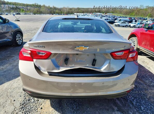1G1ZD5ST7RF235885 2024 CHEVROLET MALIBU Бежевый Вид сзади
