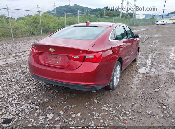 1G1ZD5ST7RF239631 2024 CHEVROLET MALIBU Red უკანა მარჯვენა