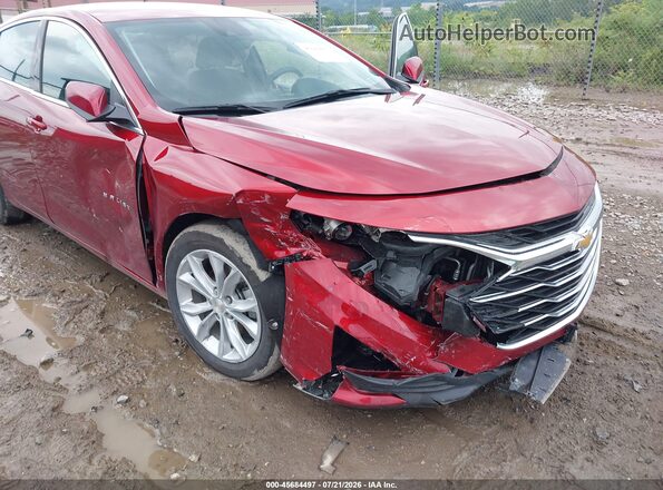 1G1ZD5ST7RF239631 2024 CHEVROLET MALIBU Red წინა ხედი
