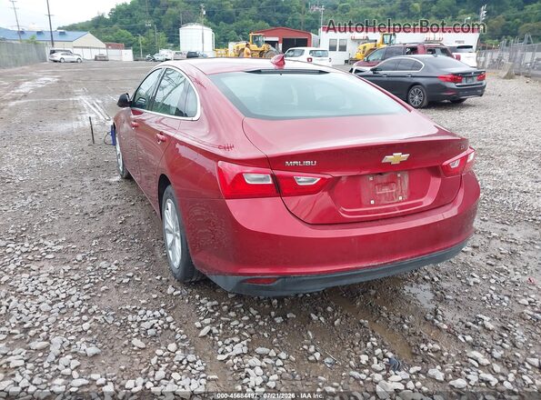 1G1ZD5ST7RF239631 2024 CHEVROLET MALIBU Red უკანა მარცხენა
