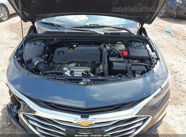 1G1ZD5ST8MF011601 2021 CHEVROLET MALIBU Gray Rear view