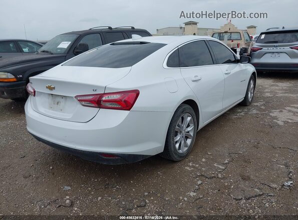 1G1ZD5ST9MF011333 2021 CHEVROLET MALIBU White Tył prawy
