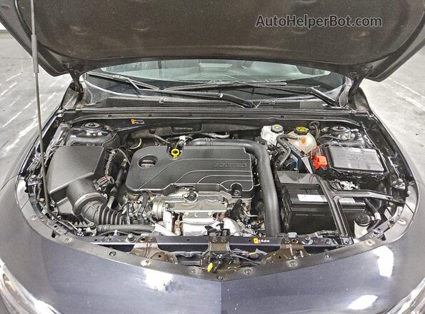 1G1ZD5ST9PF232502 2023 CHEVROLET MALIBU Серый Вид задней части салона