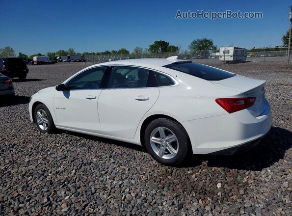 1G1ZD5STXRF174774 2024 CHEVROLET MALIBU White Հետևի ձախ