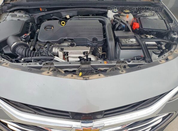 1G1ZE5ST1PF125263 2023 CHEVROLET MALIBU Silver Widok wnętrza z tyłu