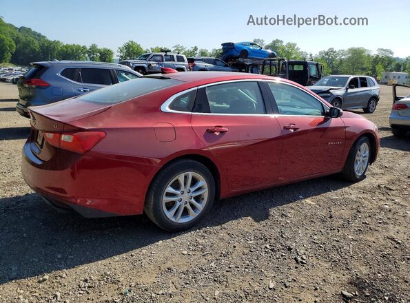 1G1ZE5ST3HF196367 2017 CHEVROLET MALIBU Red Tył prawy